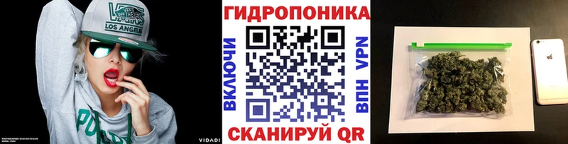 ГАШ Щёкино