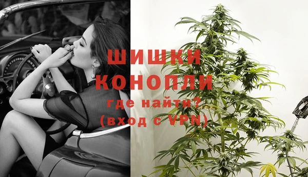 стафф Каменск-Шахтинский