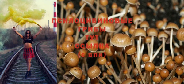 mdpv Каменка