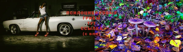 стафф Каменск-Шахтинский