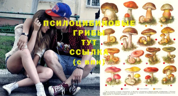 стафф Каменск-Шахтинский